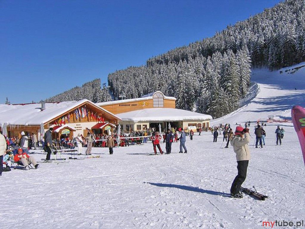 Miejscowość Bansko położona jest w jednej z najpiękniejszych okolic północnej części Gór Pirin. Stanowi popularne centrum turystyki zarówno w okresie zimowym jak i letnim. Bansko posiada rozbudowaną bazą noclegową oraz bogate zaplecze...