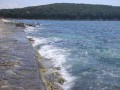 Niewiele jest na półwyspie Istria miejsc tak urokliwych i zapadających w pamięć, jak turystyczne miasteczko Vrsar, które kusi przybyszów zjawiskową, śródziemnomorską przyrodą oraz rozległymi plażami i błękitnymi wodami Adriatyku. Wakacje spędzone w chorwackim Vrsarze to aktywny wypoczynek i mnóstwo atrakcji dla całej rodziny. Liczne miejscowe hotele i pensjonaty zapraszają turystów z całego świata - każdy znajdzie coś dla siebie!


Położenie


Położony nieopodal Perecu, Vrsar (do Perecu jest zaledwie dziewięć kilometrów), to prawdziwa perełka obfitującej w turystyczne atrakcje Chorwacji. Miasteczko znajduje w zachodniej części najpiękniejszego adriatyckiego półwyspu - Istrii, skąd rozpościera się widok na cudowny archipelag osiemnastu niezamieszkanych wysepek, do których można dopłynąć z miejscowego portu. Oferuje on sto osiemdziesiąt miejsc do zakotwiczenia jachtu, z czego osiemdziesiąt wykorzystywanych jest do celów komercyjnych.


Historia


Vrsar to niezwykle stara, wręcz prehistoryczna osada, która z czasem stała się ważnym portowym miastem, skąd wywożono niezwykle ceniony istryjski kamień. W jego murach mieszkali wówczas lokalni biskupi oraz szlachta. W kolejnych stuleciach niewiele się jednak zmieniło w lokalnej architekturze, dlatego też zapach dawnych dziejów oraz przepiękne, stare budowle - doskonale wpisujące się w bałkański krajobraz - przez cały czas towarzyszą turystom podczas pobytu we Vrsarze i jego nadmorskich okolicach.


Okolice


Z centrum Vrsaru do zatoki limskiej - wdzierającej się dziesięć kilometrów w głąb lądu i przechodzącej w dolinę limską, którą rozcina rzeka Pazincica - jest tylko kilka kilometrów. Dlatego też warto się nad nią wybrać pieszo lub wypożyczonym rowerem, podziwiając po drodze lokalną faunę i spotykając niezwykle przyjaznych mieszkańców. Na co dzień żyją oni podobnie, jak ich średniowieczni przodkowie, trudniąc się rolnictwem, uprawą winogron i połowem ryb, którymi to można się do woli zajadać w lokalnych restauracyjkach, popijając przepysznym winem. Restauracje znajdujące się na obszarze tego chorwackiego fiordu - będącego zarazem przepięknym parkiem przyrodniczym - oferują ryby przygotowane według tradycyjnych przepisów. 


Zabytki


Skaliste brzegi zatoki - jakie można podziwiać podczas jednego z rejsów stateczkiem - oferują turystom swe liczne jaskinie, w których niegdyś odkryto szczątki praczłowieka z epoki neolitu. Znajdują się tam również ruiny średniowiecznego klasztoru benedyktynów, liczącego około tysiąca lat, którego patronem jest Święty Michał. Zabytków tego typu jest w okolicy znacznie więcej. W samym tylko Vrsarze możemy podziwiać zarówno mury odnawianego obecnie zamku czy też katolickiego kościoła Świętej Marii. Dlatego też zarówno profesjonalni, jak i amatorscy miłośnicy historii oraz poszukiwacze skarbów z pewnością poczują się tak, jak ryby w wodach zatoki limskiej. A jest to tylko cząstka atrakcji, jakie oferuje chorwackie wybrzeże ciepłego Adriatyku.


Kultura i rozrywka


Po powrocie do Vrsaru warto wybrać się na jedną z wielu imprez kulturalnych i rozrywkowych, jakie mają miejsce w sezonie letnim. Do wyboru mamy zarówno koncerty muzyki poważnej, festiwale folklorystyczne, dyskoteki, jak również Dni Koversady, w trakcie których odbywają się coroczne wybory miss. Jednak Koversada nie jest miejscem dla wstydliwych. Jest to bowiem jeden z najpiękniejszych parków naturystycznych w całej Europie, gdzie każdego lata zjeżdżają się nudyści z całego świata, by w nieskrępowanych warunkach opalać całe ciało. Czyż nie warto jednak zapomnieć o krępujących przyzwyczajeniach i wybrać się na jedną z najsłynniejszych naturystycznych plaż, gdzie w jednym czasie może się pomieścić aż pięć tysięcy amatorów nagiego sposobu spędzania wolnego czasu? Na polu campingowym znajduje się aż tysiąc siedemset miejsc namiotowych i przeznaczonych na zaparkowanie przyczepy.

Dla wstydliwych, którzy nie dadzą się skusić na chwilkę zapomnienia w Koversadzie, pozostają tradycyjne, złociste plaże, jakich w okolicach Vrsaru nie brakuje. Oprócz naturalnych plaż mamy też do wyboru kompletnie wyposażone kąpielisko - gdzie dzięki czujnym oczom profesjonalnych ratowników, rodzice nie muszą się martwić o swoje pociechy i mogą oddać się bezstresowemu wypoczynkowi oraz innym atrakcjom, takim jak choćby zabiegi upiększające. Te bowiem oferowane są licznie przez miejscowe gabinety SPA.

Vrsar, to również doskonałe miejsce dla zakochanych! Wąskie uliczki, średniowieczne kamienice i klimatyczne kawiarenki gwarantują niezapomniany nastrój, spotęgowany dobiegającą zewsząd muzyką i zapachem nadmorskich kwiatów.

Natomiast, gdy już znudzą się nam złociste plaże, błękitne morze oraz romantyczne spacery, warto skorzystać z wielu możliwości aktywnego spędzenia wolnego czasu. W tym celu można wynajmować żaglówki, którymi dopłyniemy do niezaludnionych wysepek, a także wodne oraz lądowe rowery. Możemy również zagrać w tenisa lub uprawiać inne rodzaje sportu na licznych kortach i boiskach. Warto wspomnieć również o tym, że w Vrsarze znajduje się malutkie lotnisko sportowe, co powinno szczególnie ucieszyć miłośników podziwiania południowoeuropejskich krajobrazów z lotu ptaka.


Naprawdę warto


Zapraszamy zatem do przepięknego i niepowtarzalnego Vrsaru, który - jako malutkie, adriatyckie miasteczko - oferuje swoim turystom ogromną ilość atrakcji i możliwości aktywnego spędzenia niezapomnianych wakacji.
