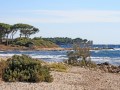 Warto wybrać się do Cannes choćby na jednodniową wycieczkę, by popatrzeć na piękne przystanie, zatoki, wzgórze Le Suquet na zachodzie i promenadę biegnącą wzdłuż słonecznej plaży, na której opalają się tłumy ludzi. Cannes zdobyło sławę dzięki licznym festiwalom, z których najgłośniejszy to odbywający się w połowie maja 10-dniowy Międzynarodowy Festiwal Filmowy. Jest tu jedno muzeum (etnograficzne) i kilka snobistycznych galerii sztuki. Ludzie przyjeżdżają do miasta przez cały rok, ale główny sezon turystyczny przypada na okres od maja do października. Skąpane w słońcu Cannes przedstawia przepiękny widok o każdej porze roku, a szczególnie wczesną wiosną, gdy tło dla panoramy miasta oglądanej z Corniche de ľEstérel stanowią pokryte śniegiem szczyty Alp.