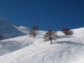 Serre Chevalier, jeden z największych we Francji regionów narciarskich, niemalże stale nasłoneczniony i pokryty świetnym śniegiem. Przyciąga zarówno rodziny z dziećmi, jak i zaawansowanych narciarzy, a to za sprawą zróżnicowanej oferty czterech głównych ośrodków narciarskich. Miłośnicy narciarstwa alpejskiego mogą korzystać z 250 km oznakowanych tras od 1200 do 2800 m n.p.m., a także z bezpiecznych tras poza terenem narciarskim. Również amatorzy narciarstwa biegowego lub snowboardingu znajdą coś dla siebie.
Śnieg gwarantowany od początku grudnia aż do maja. Ponad 40 km tras sztucznie naśnieżanych. Wyjątkowy klimat charakteryzujący się suchym powietrzem, długimi okresami nasłonecznienia i obfitymi opadami śniegu. Nie brakuje zboczy o ekspozycji północnej lub północno-wschodniej na wysokości powyżej 2000 m, co sprawia, że pokrywa śnieżna jest trwała.