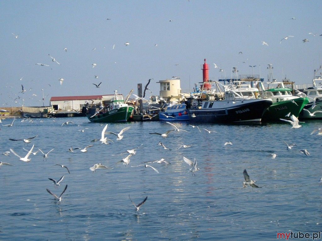 Cambrils jest niewielkim, przyjemnym nadmorskim miasteczkiem w Hiszpanii. Znajduje się w samym sercu Costa Dorada i sąsiaduje z przepięknym Salou. Jest jedną z charakterystycznych gmin Śródziemnomorskich. Można tam podziwiać uroki portu,...