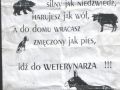 jeśli jestes ...