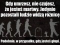 Śmierć i głupota