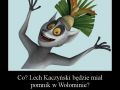 Co? Lech Kaczyński będzie miał pomnik w Wołominie?