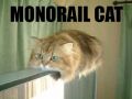 Monorail Cat