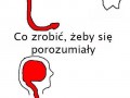 płaszczyzna porozumienia