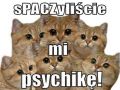 sPACZyliście mi psychikę!