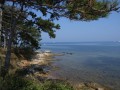 Stara wioska rybacka Savudrija leży na południowo-zachodnim wybrzeżu półwyspu Istria w Chorwacji, niedaleko miasta Umag. Skaliste i strome brzegi okolic miasta wpadają do Morza Adriatyckiego. Savudrija słynie z naturalnych skalistych plaż i z czystego, lazurowego morza. Okolice miasteczka należą do najbardziej zielonych miejsc w całym półwyspie Istria. Porośnięte są lasami sosnowymi i roślinnością śródziemnomorską.

Pierwsze wzmianki o Savudriji pochodzą już z 1177 roku. Do najważniejszych i wartych obejrzenia zabytków w miasteczku jest kościół św. Apostoła Iwana z IX wieku. Budynek został całkowicie zrekonstruowany w 1826 roku. W Savudrija na przylądku stoi wysoka latarnia morska pochodząca z 1826 roku. Uważana jest za najpiękniejszą latarnię na całym półwyspie.

Z roku na rok do Savudrija przybywa coraz więcej turystów. Przyciągają ich tu piękne plaże, ciepłe morze i zapierające dech w piersiach krajobrazy. W trakcie pobytu w Savudrija można nauczyć się windsurfingu, lub popłynąć łodzią w romantyczny rejs po morzu. Dla chcących poznać historię i kulturę Chorwacji można w każdej chwili pojechać do pobliskich miejscowości i zobaczyć: Umag, Buje, gdzie można wypróbować pyszne wino z tutejszych winnic, Novigrad, Tar oraz wiele innych miasteczek. Wakacje w Savudriji z całą pewnością zapewnią Państwu cudowne przeżycie i niezapomniane chwile spędzone z bliskimi. 


Pogoda


Piękne położenie Savudrija jej czyste plaże, ciepła woda i śródziemnomorski klimat przyciągają wielu cudzoziemców. Co roku latem pogoda jest słoneczna, a temperatury sięgają nawet 30°C. Opady deszczu występują tu tylko w porze zimowej. Wybierając miejsce na wymarzony urlop, gdzie pogoda na pewno dopisze, warto wybrać się do Savudrija.


Last Minute


Decydując się na wakacje w Chorwacji w Savudriji polecamy skorzystać z naszej promocji last minute, której ceny są zaskakująco niskie. Przez cały rok można wykupić wycieczkę oszczędzając przy tym nawet o połowę pieniędzy. Nasze oferty last minute zawierają już koszty wszystkich noclegów, podróży, wyżywienia oraz ubezpieczenia. Przede wszystkim jednak zapewnimy Państwu najlepszą zabawę, odpoczynek i cudowne wspomnienia na całe życie.

Wakacje w Savudriji to idealne miejsce na wyciszenie się i oderwanie od otaczającej nas codzienności. Miasteczko jest małe, spokojne, bez wielkich tłumów. Brak tu pędzących aut i wielkich głośnych miast. Jest to wręcz idealne miejsce na urlop z dziećmi. Miasteczko oferuje wiele atrakcji. Dla chcących leniuchować są piękne plaże, a w pobliżu jest wiele ciekawych zakątków do zobaczenia. Miłośnicy sportów wodnych, również znajdą cos dla siebie. Wczasy w Savudriji na pewno Państwa zachwycą.