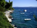 Businci jest to miejscowość turystyczna w Chorwacji, położona w południowej części wyspy Ciovo, oddalona 6km od Trogiru. Stamtąd rozciąga się widok na takie wyspy jak: Hvar, Brac i Solta. W miasteczku Businci znajduje się kilka kawiarni,...